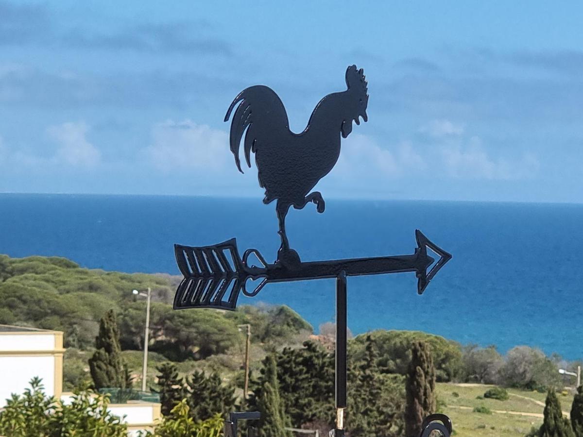 Villa Oceano Albufeira Eksteriør bilde